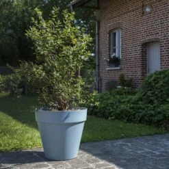 Baies De Mai FRUITY BERRY ® Gamme FRUITALITY ® -LeafJoy Shop 11 fruity berry verdia s.jarry 1000