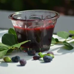 Baies De Mai FRUITY BERRY ® Gamme FRUITALITY ® -LeafJoy Shop 20 fruity berry verdia 1000