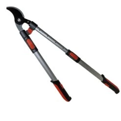 Ebrancheur Télescopique