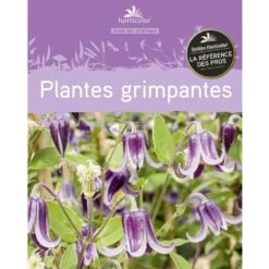 Le Guide : Plantes Grimpantes