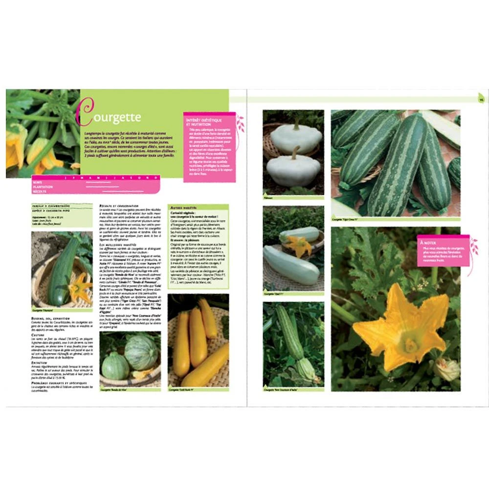 Le Guide : Le Potager De La Graine à L'Assiette 4 Le Guide : Le Potager De La Graine à L'Assiette - Image 2