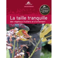 Le Guide : La Taille Tranquille