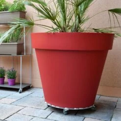 Roule Plante Rond -LeafJoy Shop 9372 roule plante rond t1000