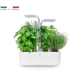 Potager D'intérieur Véritable® SMART