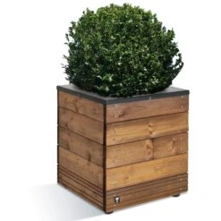 Bac En Sapin Selekt Carré 45 Bas -LeafJoy Shop 9619b bac en sapin selekt carre 45 bas t1000