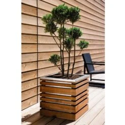 Bac Lign Z Carré 60 Cm