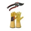 Lot Gants Roncier + Sécateur Professionnel T10