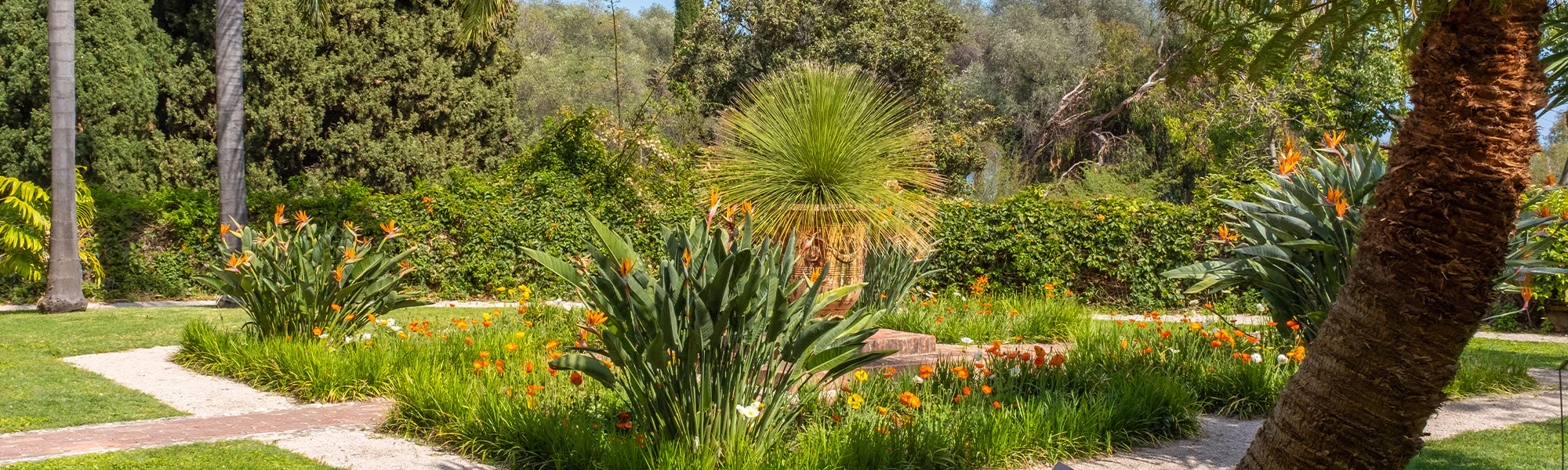 LeafJoy Shop -LeafJoy Shop banner954